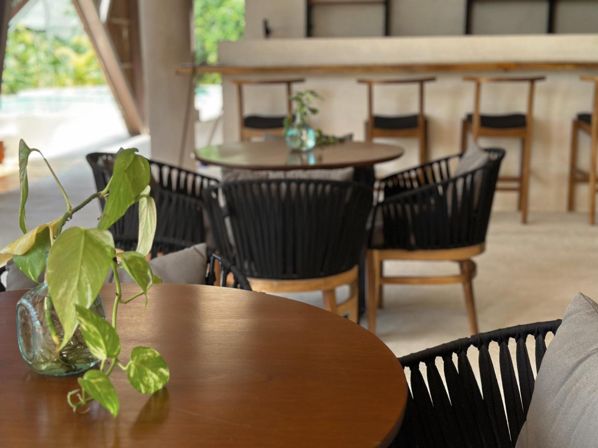 Ophelia Tulum Condo In Aldea Zama Dış mekan fotoğraf